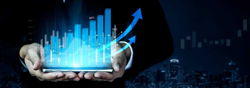 Professional Business Valuations